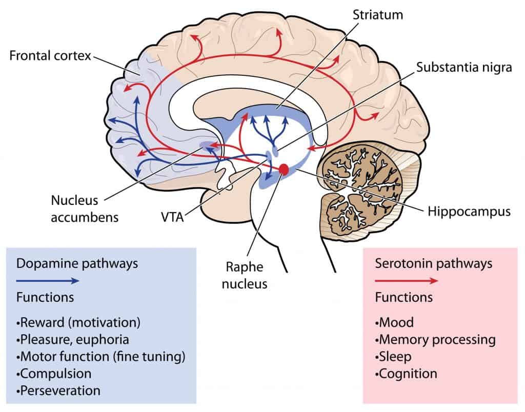 most common antidepressants